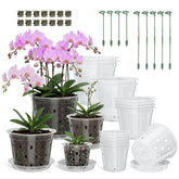 Wyegey 4-inch clear orchid pot with drainage for easy watering