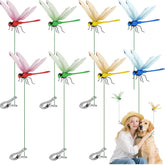 Xandova dragonfly clip set shows multicolor decor for indoor and outdoor gardens