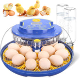 Xiejiutianxrg egg incubator with 360 lid view for easy monitoring during incubation