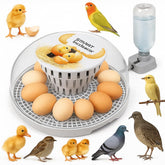 Xiejiutianxrg M12 incubator with transparent lid for easy hatch monitoring