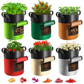 Xpatee 6-pack potato grow bags with harvest window for clean, easy patio harvests.