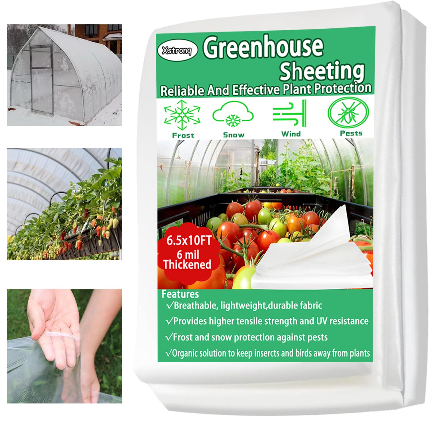 Xstronq 6.5x10ft greenhouse film rolled for quick outdoor cover setup