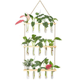 XXXFLOWER wall hanging propagation station with wood stand enhances plant display.