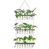 XXXFLOWER wall propagation station with wooden stand and glass tubes for rooting cuttings