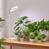 Yadoker 72-LED full-spectrum grow light on desk supporting healthy indoor herbs.