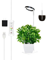 Yadoker Plant Grow Light full spectrum supports healthy indoor plant growth.