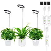 Yadoker Plant Grow Light full spectrum illuminates indoor plants for healthy growth.