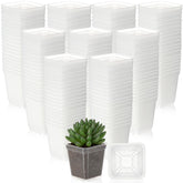 Yaomiao 3-inch clear square pot front view for seed starting visibility