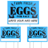 Yaomiao farm fresh eggs sign blue background attracts customers outdoors.