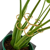 YAPPROMO iron monstera plant support stake stabilizing tall indoor plants.