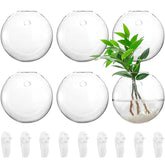 Yarlung 6-pack wall hanging terrarium globe for stylish indoor plant displays.