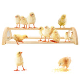 Yasdyri chicken perch with mirror for chicks, promotes interactive play