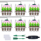 YAUNGEL seed starter tray with grow light for healthy seedling growth