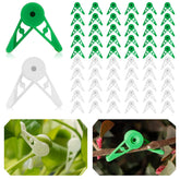 YBB 360-degree plant clips in action for flexible branch training and shaping.
