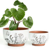 YBX YIBOXUAN terracotta pot with mushroom accent enhances indoor plant display.