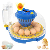 YDTOP 12 egg incubator with 360-degree view provides full progress visibility