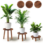 Yedcxup 3pc corner plant stand set for stylish balcony decor