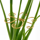Yeomant Monstera support stakes set stabilizes indoor plants for upright growth.