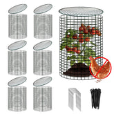 YEXEXINM garden plant protector cylinder shields seedlings from critters.