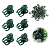 YFANITI orchid clip pack secures stems to supports for upright growth.