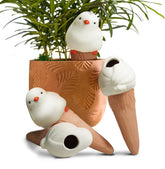 yfdb bird-shaped watering globes assembly hydrate indoor plants automatically