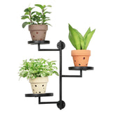YFFSRJDJ rotating window plant shelf top view showing space-saving design for sun-loving plants.