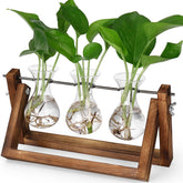 YIBOT propagation station with glass vase trio for clear root observation