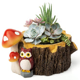 Yiiwinwy Owl succulent pot with owl figure, ideal for desk or shelf decor.