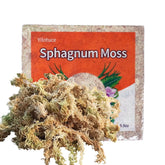 Yilotuce Sphagnum Moss dry flakes expand into fluffy medium for orchid and plant roots