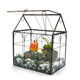Yimorence large tall plant greenhouse terrarium with lid showcased on a desk for tropical display