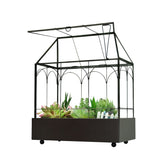 YIMORENCE V brass-tray glass terrarium with wheels for easy repositioning
