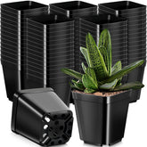 Yinder 4-inch square nursery pots for seedling starts with reliable drainage.