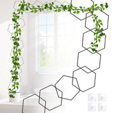 Yinjupu hexagonal rings for indoor plant support and vines
