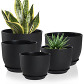 YNNICO plant pot with deep reservoir for longer watering intervals.