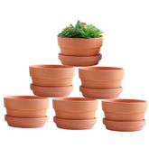 Yishang 5-inch shallow terracotta pot with drain hole for drainage