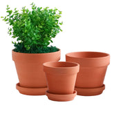 Yishang large terracotta pot with drainage hole promotes healthier root airflow.
