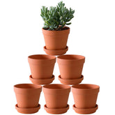 Yishang terra cotta pot 5.5 inch with saucer for well-drained herbs and succulents