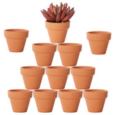 Yishang tiny terracotta pot with drainage for succulents.