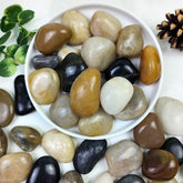 YISZM 2lbs pebbles for indoor plants, mixed color stones for plant top dressing.