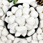 YISZM white pebbles for indoor plants add subtle pot appeal.