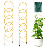 YJAMTFODL indoor plant trellis two-pack supports climbing plants in pots