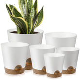 YNNICO 8-inch white indoor planter with drainage holes for healthy root airflow.