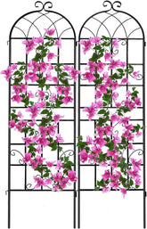 YOBAZAN 2-pack garden trellis provides sturdy vertical support for outdoor plants