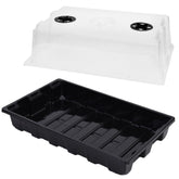 YoleShy seed starter tray with dome on a windowsill, promoting even humidity for germination.