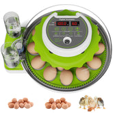 Yonooq 18-egg incubator front panel display enables precise temp control.