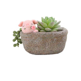 Youfui pig planter front view, ideal desk decor for succulents.