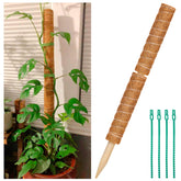 ZAUGONTW coir moss pole set for vertical plant support and easy installation.