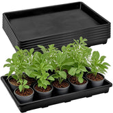 ZAVOOS 6-pack seedling trays top view for versatile indoor germination