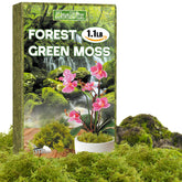 ZeeDix 1.1lb packaged forest moss for easy storage and hydration.