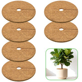 ZeeDix 6-pack mulch rings around pot to help retain moisture and protect roots.